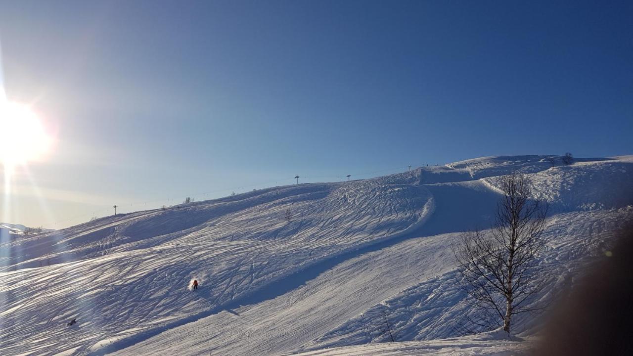 Timblalodgen Sogndal Exteriör bild