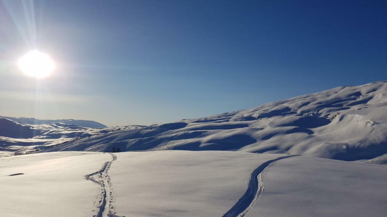Timblalodgen Sogndal Exteriör bild